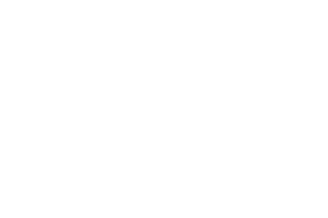 ask the seal