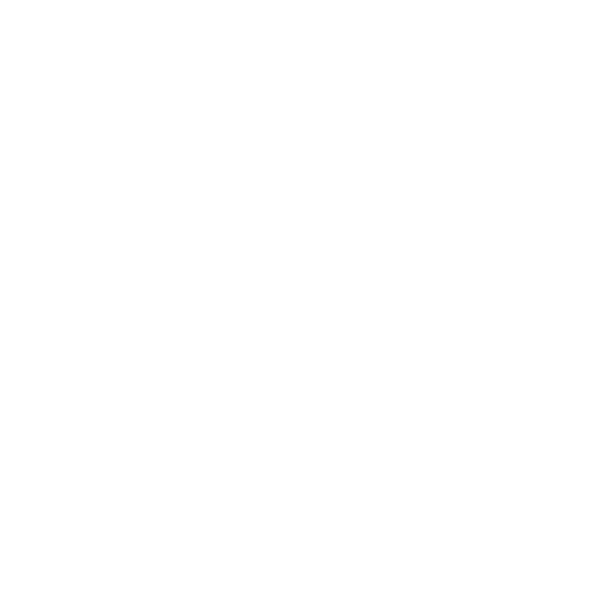 Integrity Icon white